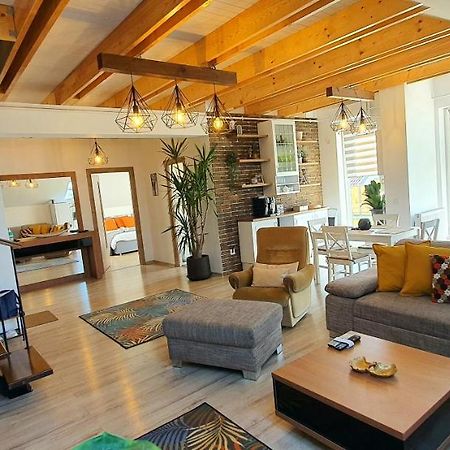 Hoobee Home & Rooftop Terrace Târgu-Mureş Exteriör bild