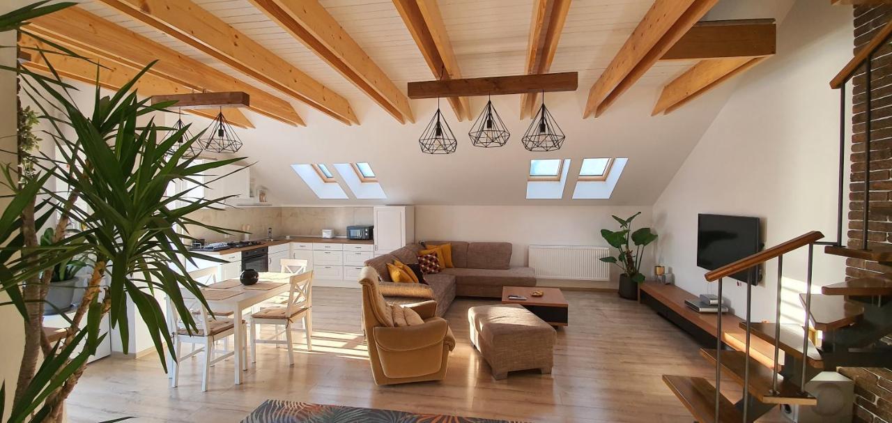 Hoobee Home & Rooftop Terrace Târgu-Mureş Exteriör bild